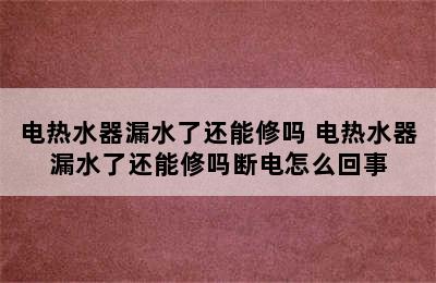 电热水器漏水了还能修吗 电热水器漏水了还能修吗断电怎么回事